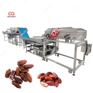 Gelgoog, línea de procesamiento de dátiles y ciruelas secas automáticas, máquina de procesamiento de frutas de Palma hecha en China