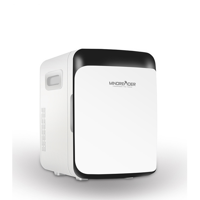 Home-used Mini Fridge 10 Litre,Portable Cosmetic Refrigerator for store food/skincare products/drinks,customization accepted