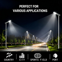 Farola LED Solar DC con Certificación IP66, CCC, CE y RoHS, Batería Lifepo4, Aluminio, Garantía de 5 Años, 200W, CRI80, para Carreteras, Haz de Luz de 120°