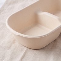 Afbreekbare wegwerp lunchbox van suikerrietbagasse, magnetronbestendig, minimalistisch PP/PET deksel, geschikt voor salade, fruit & afhaalmaaltijden