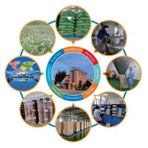 クランベリーパウダー天然フルーツ - Product Image 2