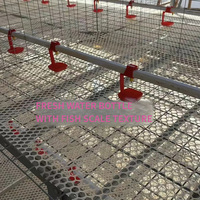 Cage à poulets empilable galvanisée résistante à la corrosion avec plancher en plastique pour élevage de poulets de chair en ferme avicole