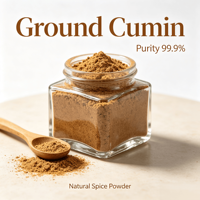 Poudre de cumin moulu pur, arôme intense, pour cuisine, barbecue, curry, assaisonnement en vrac, fourni par l'usine