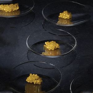 Caviar cheveux shampooing et après-shampooing biotine naturel bio anti-pelliculaire contrôle de l'huile sans sulfate <span class=keywords><strong>ensemble</strong></span> de soins capillaires - Product Image 5