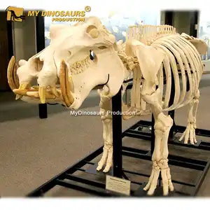 Esqueleto modelo esqueleto de animais desenhos animados, esqueleto de ouro de hippo