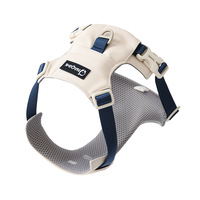 Ensemble laisse et harnais pour chien en tissu Oxford, style gilet, imperméable, anti-traction, pour chiens de taille moyenne et grande