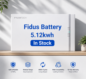 Pylontech 5.12kWh 100Ah 51.2V fidus-EU แบตเตอรี่ลิเธียมพลังงานแสงอาทิตย์แรงดันต่ำแบตเตอรี่ pylontech มีในสต็อก - Product Image 4