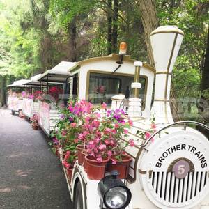 <span class=keywords><strong>Tours</strong></span> de train sans rail touristiques électriques pour enfants adultes Attractions panoramiques pour visites de la ville - Product Image 2