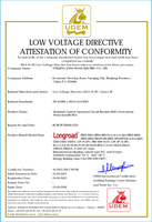 Interruptor Diferencial Electromagnético con Certificado CE, Tipo RCCB, 2, 4 Polos, 16a, 32a, 63a, 100a, Magnético, ELCB, RCD, RCBO