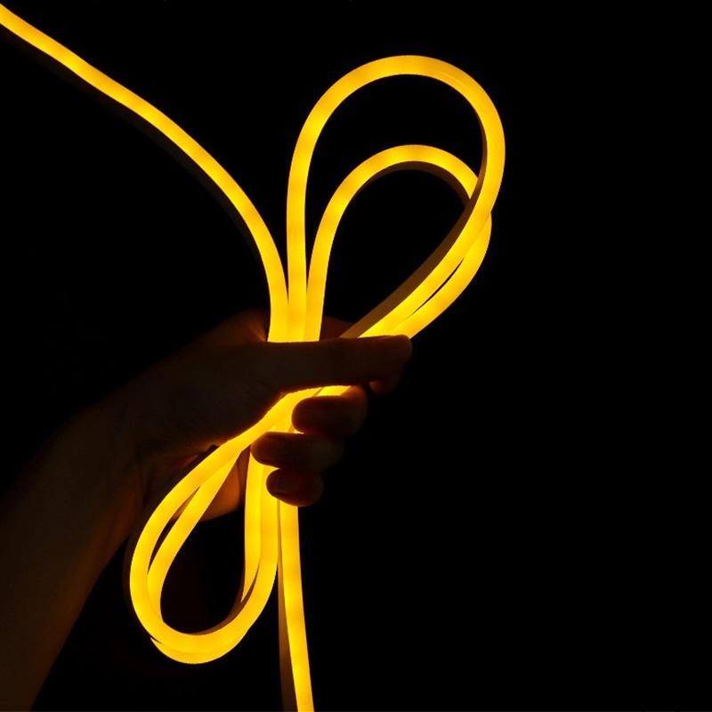 OEM ODM High Quality Single Color Neon Led Strip Light Waterproof 12V 24V 5m/10m