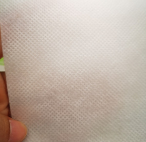 Degradable PLA Spunbonded Filamento no tejido Sofá Cubierta Colchón con fibra de maíz Ácido poliláctico Tela no tejida Blanco personalizado - Product Image 4