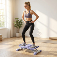 Ventes chaudes d'équipements de fitness, marcheuses d'escalier numériques, moniteur numérique, marcheuses d'escalier pour la salle de sport à domicile