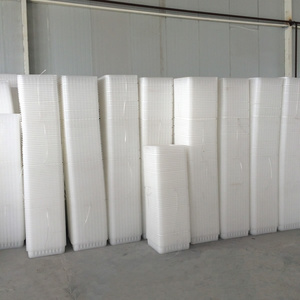 Cesta de Plástico Resistente para la Línea de Producción de Champiñones, Cultivo y Manejo de la Cosecha - Product Image 6