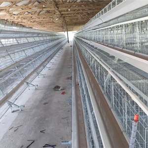 Cages pour poules pondeuses à 4 niveaux Cages pour poules pondeuses 96/120/128/160 Oiseaux 3/4 niveaux Volaille 10000 Oiseaux poules pondeuses pondeuses <span class=keywords><strong>Cage</strong></span> pour poules pondeuses - Product Image 3