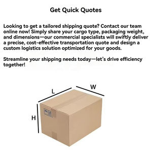 Vnlin Chine à l'Egypte Porte à Porte DDP Service de Fret Maritime Express LCL + Livraison de Cargo avec Expédition en Egypte - Product Image 3