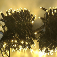 IP65 20m goldene warm weiße Farbe Led Fairy String Lichter Weihnachts baum hängende Girlande für Party Hochzeit Dekor kann anpassen