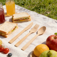 Kit de couverts jetables écologiques biodégradables en bambou, vaisselle portable et durable pour le camping, les fêtes, les restaurants de restauration rapide, les repas en avion