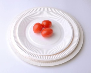 Assiettes en papier jetables de 16 cm biodégradables, rondes, pour fêtes, qualité alimentaire, fabrication OEM ODM Vietnam, directement de l'usine - Product Image 2