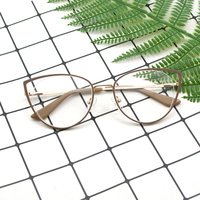 Montures de lunettes œil-de-chat tendance, style informatique, en métal, avec branches torsadées, verres PC, pour adultes, avec étui à lunettes