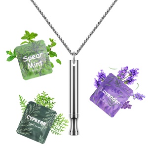 Sleep Aromatherapy <b>Diffuser</b> All Natural Herbal Cigarettes Stainless Steel Bliss Quit Smoking Smokeless Air Inhalers Necklace - Product Image 1