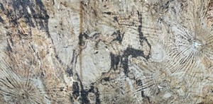 Lámina de Chapa de Piedra Natural Translúcida Marrón TB2 de Flatstone Designs, Acabado Retroiluminado Suave para Paredes Interiores Modernas - Product Image 3