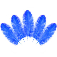 50-55cm Royal Plumes D'autruche Drabs Décoration Pour Costumes De Carnaval Décoration De Table Teint Couleur Plumes D'autruche Pour Le Mariage