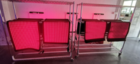 BioMol Tapis de thérapie par lumière rouge LED 660nm 850nm Tapis de couverture rouge NIR pour une utilisation complète du corps