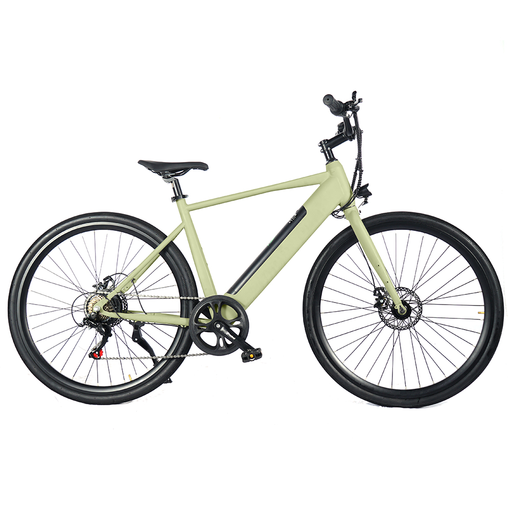 Avocado Green E-bike
