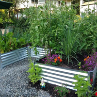 Lit de jardin surélevé en acier galvanisé minimaliste Bords en plastique Couleur de taille personnalisable pour un usage domestique-Fleurs de légumes