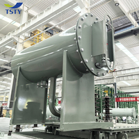 Transformador de Potencia Trifásico Sumergido en Aceite TSTY 10kV 25kV 1000kVA 2000kVA 4000kVA 5000kVA - Precio