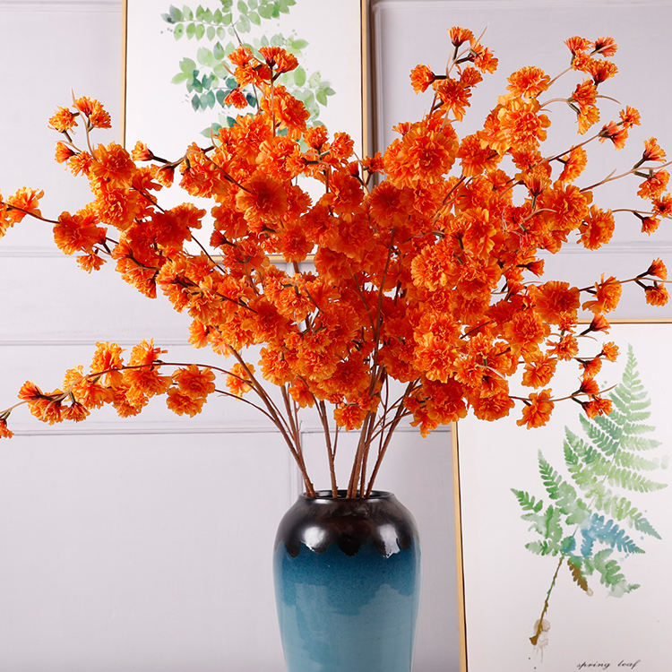 เบญจมาศ