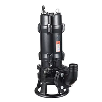 Aikon 3HP Pompe submersible monophasée pour eaux usées de conception compacte Utilisation dans le sous-sol pour l'élimination des liquides Matériau en acier inoxydable et en fonte