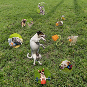 Resistente giocattolo in Silicone per animali domestici per cani gatti gioco interattivo a mano per il campeggio all'aperto - Product Image 3