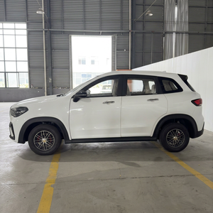 Venta al por Mayor de Mini SUV Eléctrico de Lujo, Vehículo de Nueva Energía de Largo Alcance y 4 Ruedas para Adultos, Ideal para Desplazamientos Urbanos - Product Image 1