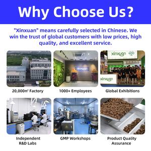 맞춤형 우유 엉겅퀴 간 지원 분말 애완 동물 건강 관리 보충 개 자연 치료 고양이 건조 식품 해독 건강 기능 - Product Image 6