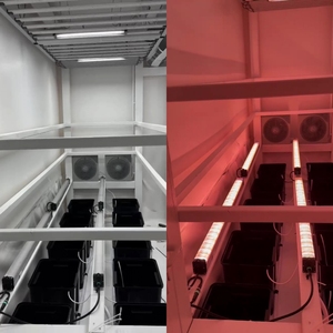 Luz LED <span class=keywords><strong>de</strong></span> Cultivo Suplementaria para Interiores, Espectro Completo Rojo <span class=keywords><strong>de</strong></span> 120w, Impermeable IP65 - Product Image 4