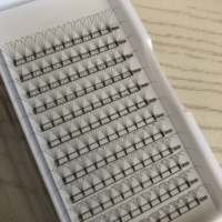 Extensions de cils pré-faits noir jais effet yeux de poupée 2D 3D 4D 5D 6D 7D 8D 9D 10D, courtes et naturelles, 0.05 0.07 0.10MM, pré-faits thermocollés