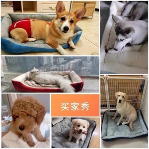 Umwelt freundliche Winter-Hunde matratze aus Stoff mit PP-Baumwoll füllung für mittlere und große Hunde-Zwinger-Haustier bett zum Schlafen - Product Image 2