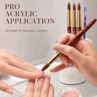 Ensemble de pinceaux à ongles professionnels 100% pur Kolinsky, peigne de nettoyage arc-en-ciel, pinceaux à ongles en acrylique personnalisés # 12/14/16/18
