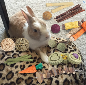 Usine En Gros Lapin Hamster Naturel Cochon D'inde Jouets Pomme Bois Bâtons Chinchilla pour Soins Des Dents Friandises pour Petits Animaux - Product Image 5