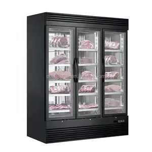 Dry Age Meat Cabinet Beef Ripening Showcase Commercial Meat Drying Aged Fridge