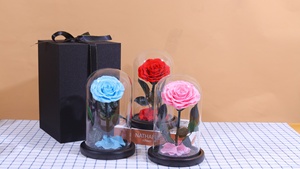 <span class=keywords><strong>Rosa</strong></span> <span class=keywords><strong>Eterna</strong></span> Preservada en Cúpula <span class=keywords><strong>de</strong></span> Cristal, <span class=keywords><strong>La</strong></span> <span class=keywords><strong>Bella</strong></span> <span class=keywords><strong>y</strong></span> <span class=keywords><strong>la</strong></span> <span class=keywords><strong>Bestia</strong></span>, Regalo para el Día <span class=keywords><strong>de</strong></span> <span class=keywords><strong>la</strong></span> Madre - Product Image 5
