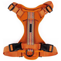 Harnais pour animaux de compagnie personnalisable OEM avec patch logo vierge, sangle géométrique en maille respirante et boucles réglables