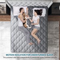 Matelas en mousse à mémoire de forme hybride Queen Confort respirant Mousse de soutien à haute densité Soulagement de la pression Utilisation écologique de l'hôtel 10 ans