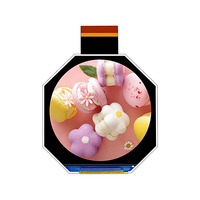 Écran tactile LCD TFT circulaire de type IPS de 2,1 pouces B210WV01A avec interface RVB pour montres intelligentes et petit écran LCD