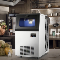 Machine à glace commerciale automatique à flocons de neige, refroidie par air, 30 kg/24h, vente en gros d'usine, alimentation électrique