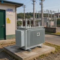 Transformateur de puissance immergé dans l'huile S11-M, 11 kV/0,4 kV, 30~2500 kVA, faible bruit, réservoir ondulé, enroulement en cuivre, utilisation en poste de transformation
