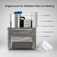 Machine à glace en flocons sur mesure 0,2T 0,3T 0,5T 1T en acier inoxydable, refroidie par air, pour abattoirs