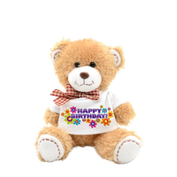 Songshan Toys T-shirt personnalisé vêtements OEM personnalisé peluche logo animal en peluche ébauches de sublimation petit ours en peluche cadeau pour enfants