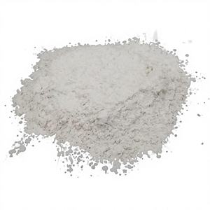 Promotion : Poudre de Calcium CaCO3 1800 mesh de Qualité Supérieure, Grade Industriel pour la Fabrication de Plastiques, Peintures, Câbles et Construction - Nhat Thang - Product Image 1